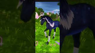 #starstable #sso #capcut #abonnetoi #suscribe #foryou #pourtoi #musique #starstableonline