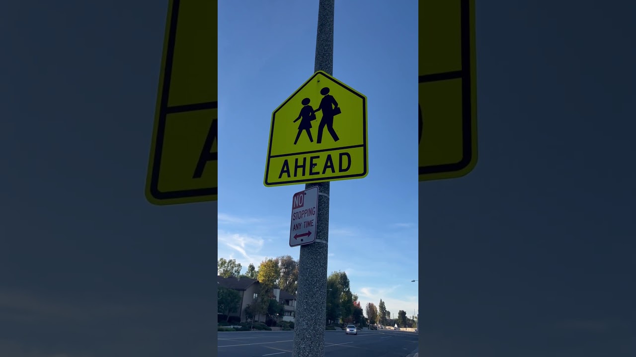 SCHOOL CROSSING SIGN