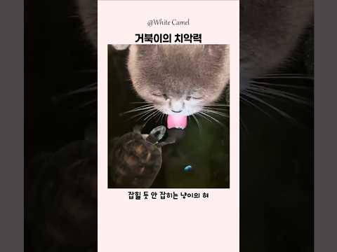 놀라운 혀 컨트롤.. 잘 놀다갑니다 thumbnail