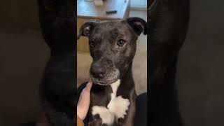 She Had To Spin The Fear Off