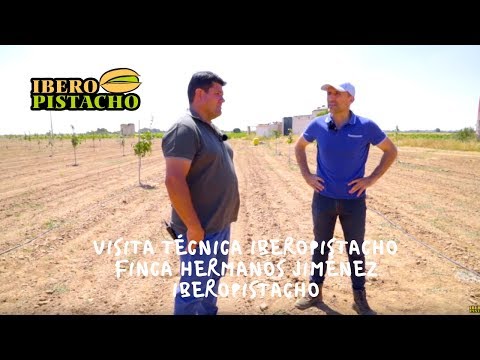 Technical Visit IberoPistacho - Finca Hermanos Jiménez -IberoPistacho