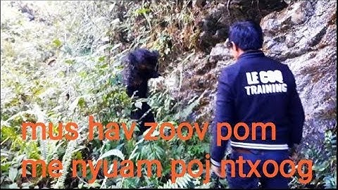 vim mus ib leeg thiaj mag poj ntxoog hem poob plig tag /Qaib thoj funny channel