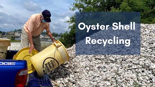 Oyster Shell Recycling