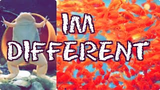 Why I Don’t watch Other Prison Channels ! | Kfrogtv