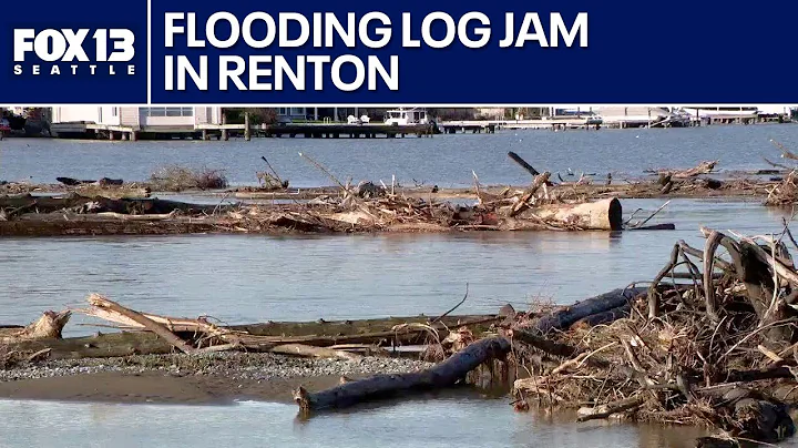 'Graveyard' of debris clogs Lake Washington near Renton after storms | FOX 13 Seattle