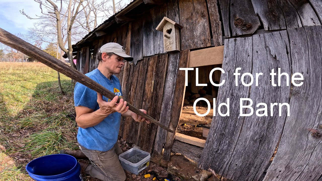 This Old Barn Birdhouse Band Aid