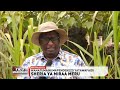 Meru: Wakulima wa miraa wajitokeza kutoa maoni yao kuhusu pendekezo la mswada mpya wa miraa