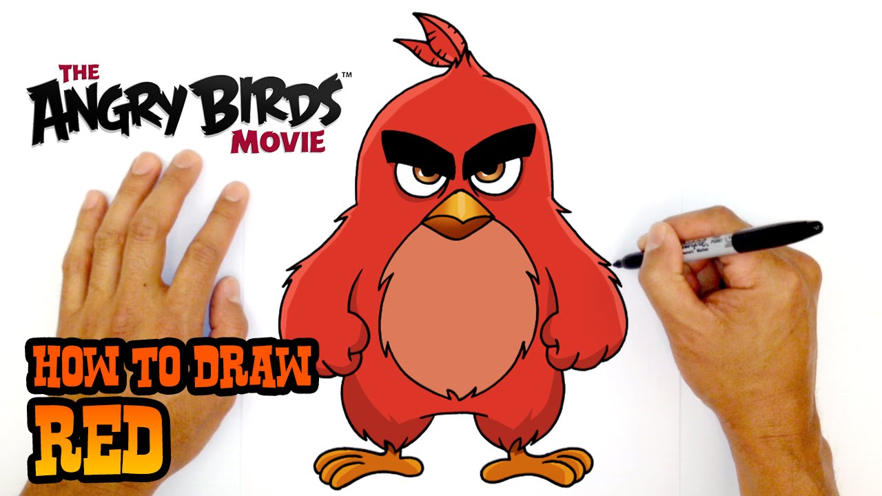 Learn easy drawing of Angry bird. | Learn easy drawing of Angry Bird. Learn  how to draw an angry bird and color it easily. https://youtu.be/MBuOJnAXNeU  | By DrawingDuckFacebook