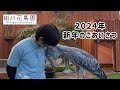 【掛川花鳥園公式】2024年　ふたばと共に新年のご挨拶