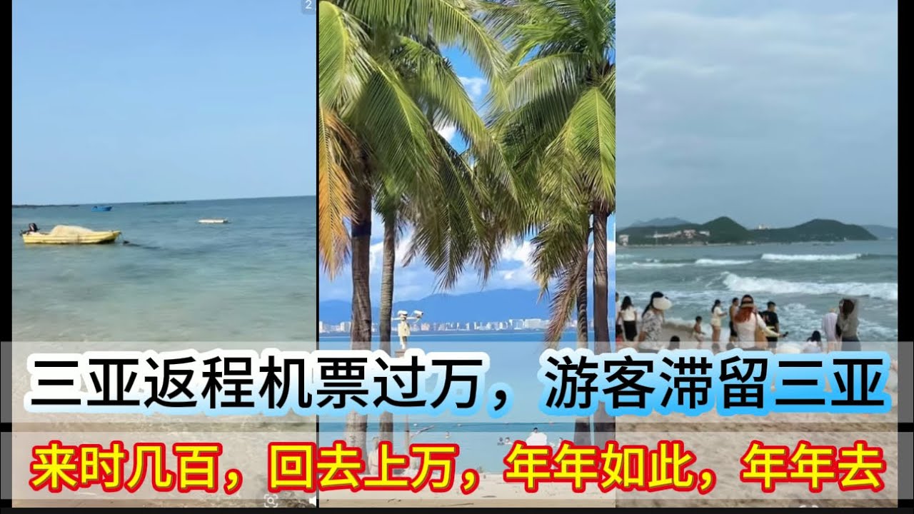 三亚宰客好季节，年年如此，年年去，主打一个有钱任性｜来时几百，回去上万｜酒店涨价十倍，普通菜几千块｜Reaction Video