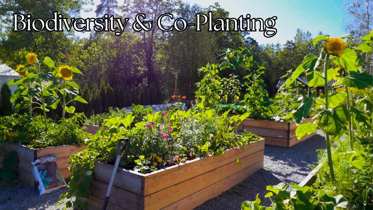 The Secret to a Thriving AND Beautiful Vegetable Garden | Full Garden Layout