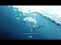 Goldie - Megalodon rep Outro