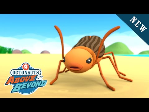 Octonauts: Above & Beyond - The Beetle Invasion | @Octonauts and Friends