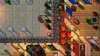 Tibia morgana sibbeon