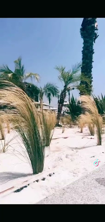 Summer is calling #summer #calling #sea #viral #viralvideo #shortsclip #youtube #