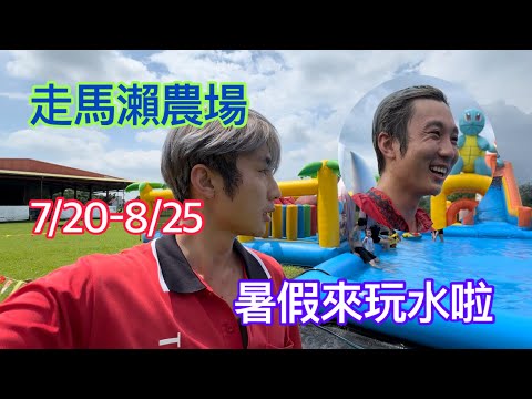 走馬瀨農場｜暑假來玩水看表演啦！！！