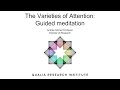 Guided meditation the varieties of attention