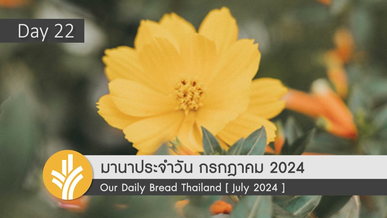 เครื่องมือแห่งความดี / Instruments for Good