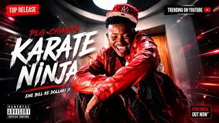 PLG CHANTY – KARATE NINJA (Official Audio leak ft focalistic stofi stofoza 2.0) 