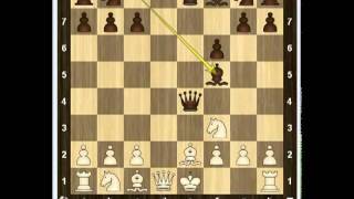 Уроки шахмат - Гамбит Дамиано 2