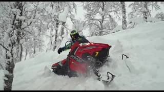 SLED EDIT 2018