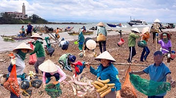 Đảo Vĩnh Thực Địa Đầu Tổ Quốc | Biên Giới Biển Giáp Trung Quốc