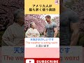 英語で『天気がおかしいです』ってどう言うの? 学校では教えてくれない日常英語