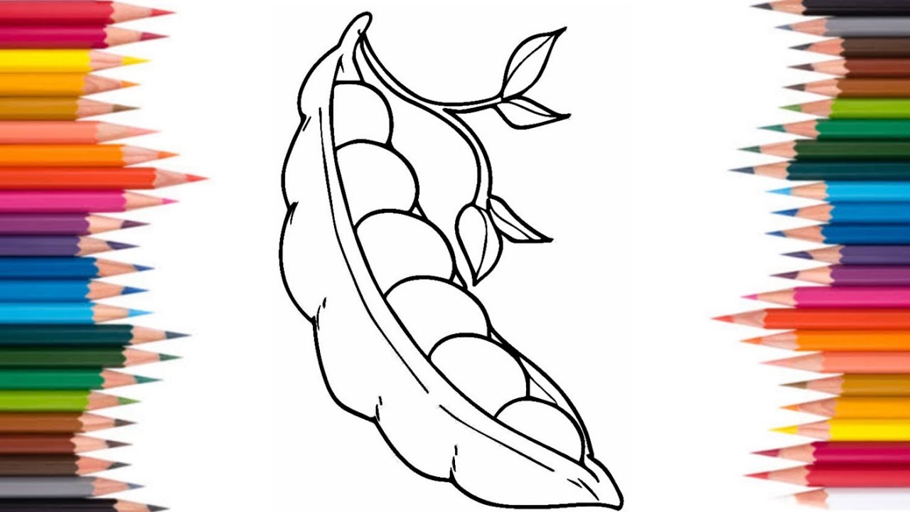 Peas  drawing easy | Peas colouring 🌈 ✨ step by step | Colouring 🌈✨. craft.