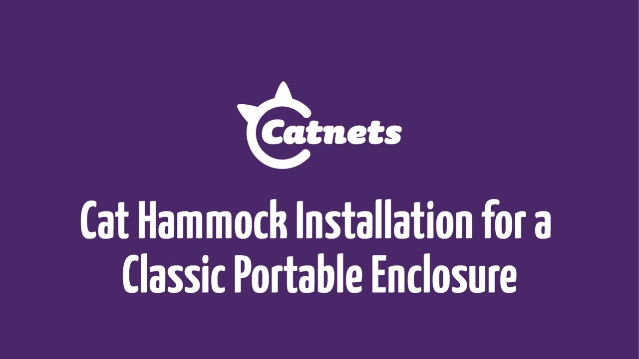 Cat Hammock Installation for a Classic Portable Enclosure