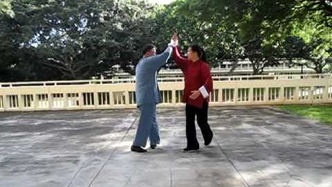 Master Dong Taichi Push Hands - Dalu 董增辰師父太極推手大履