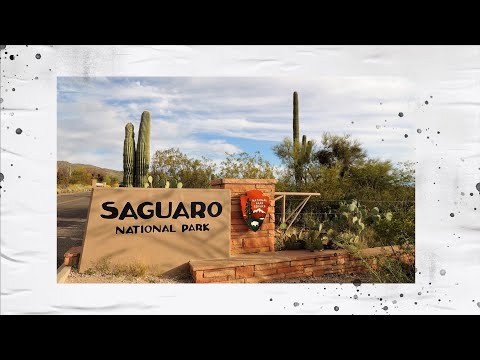 Video: Saguaro nasjonalpark: Den komplette guiden