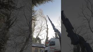 Tree takedown time lapse, ice ice baby. #arborist #treework #arbortec #timelapse
