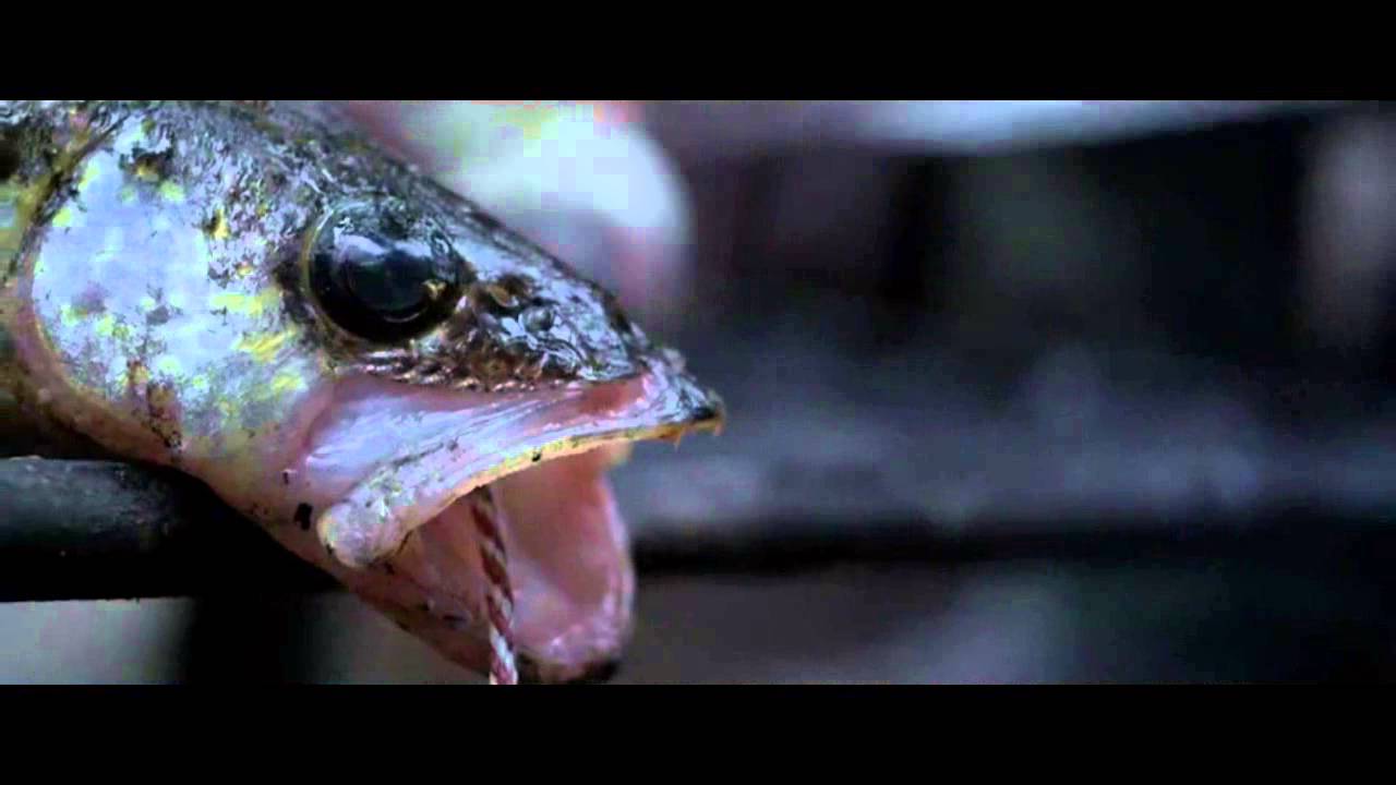 BACKCOUNTRY 2014 TRAILER YouTube