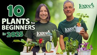 10 BEST HOUSEPLANTS for BEGINNERS in 2025