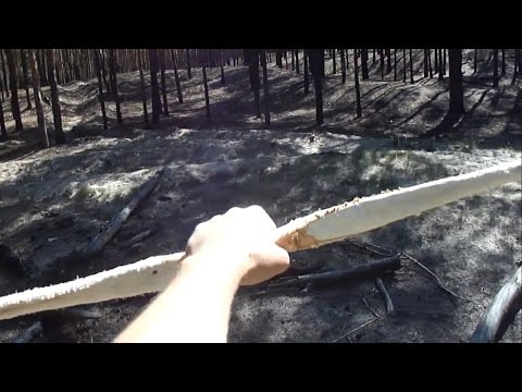 Примитивный Лук из березы
