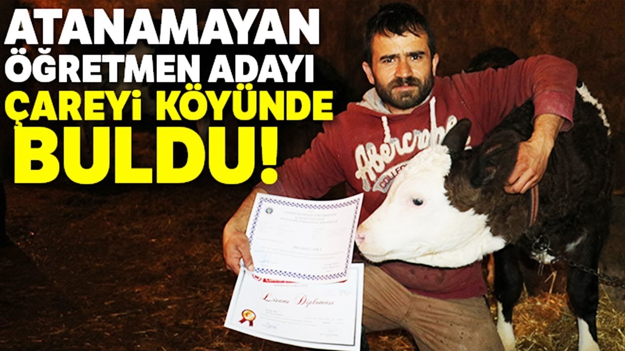Atanamayan Öğretmen Adayı Çareyi Köyünde Buldu