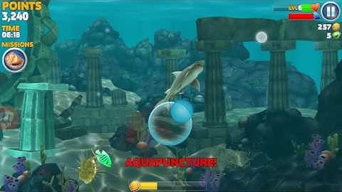 Hungry Shark Evolution -Reef Shark Android Gameplay