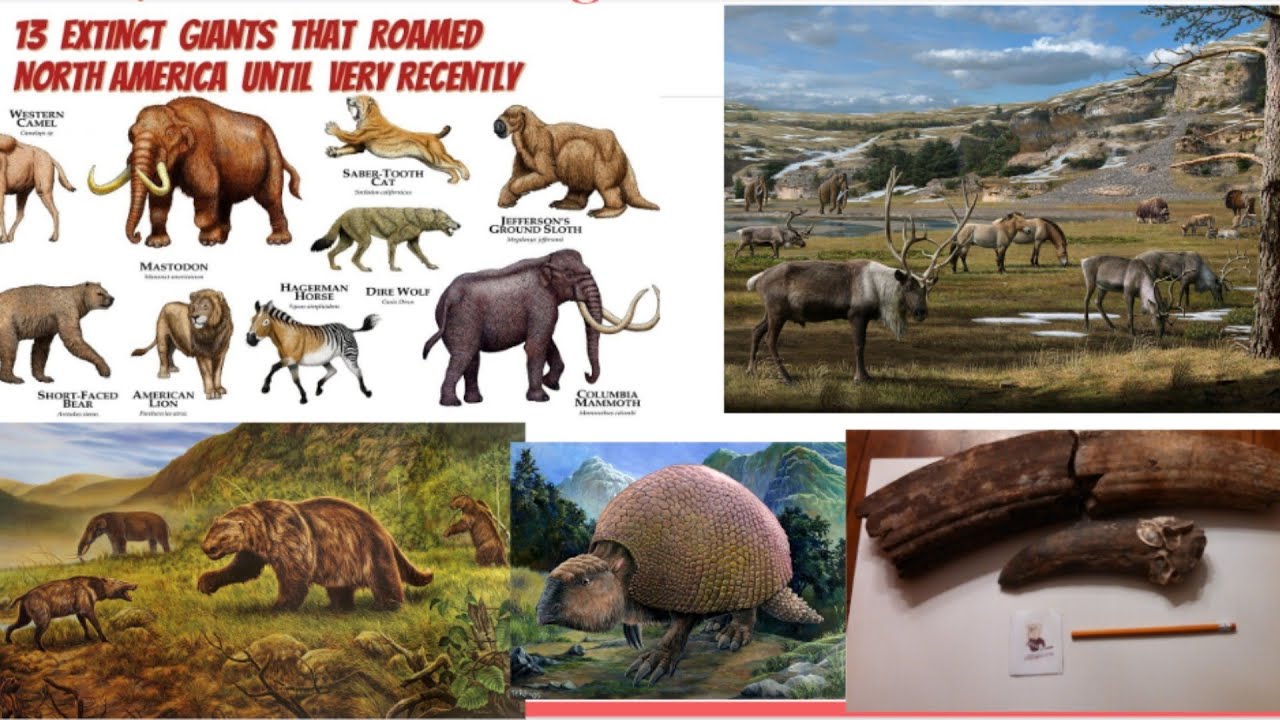 What happened to the Megafauna at the end of our last ice age??? - YouTube