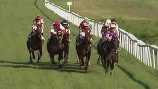 Vidéo de la course PMU PRIX DU REVEILLON