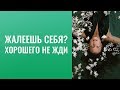 Очень жалко себя? Хорошего не жди - это никуда не ведёт!