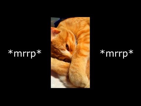 Mrrp