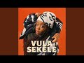 Vula Sekele 