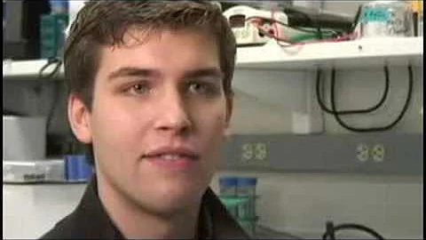 Steven Koehler Profile