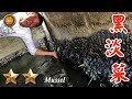 野味53集 | 黑殼淡菜 | 蒜香白酒 五味醬 | Mussels | 萍哥Pinger