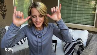 Unit 12 One Fine Day