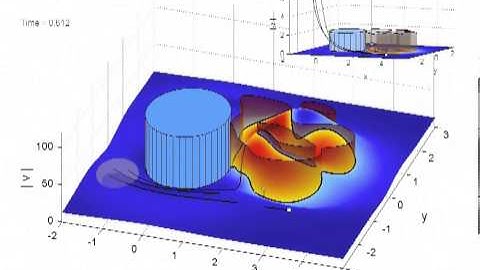 Finite size particles in the flow behind the cylinder