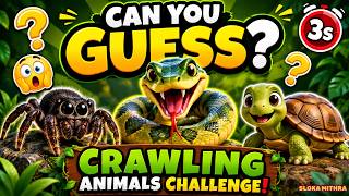 Crawling Animals Challenge  | Can You Guess the Animal? | Fun Quiz for Kids#kidslearning