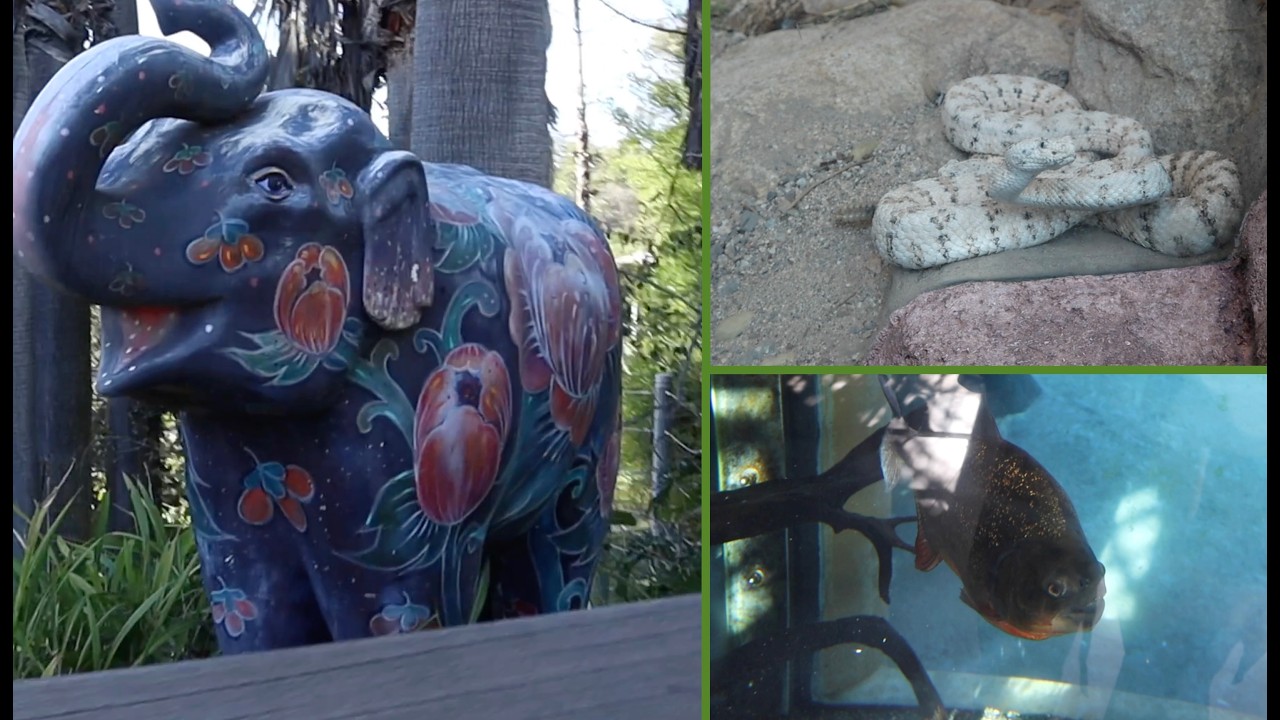 Los Angeles Zoo 2026 Vlog, Part 4- Snakes, no Elephants and the Rainforest of the Americas!