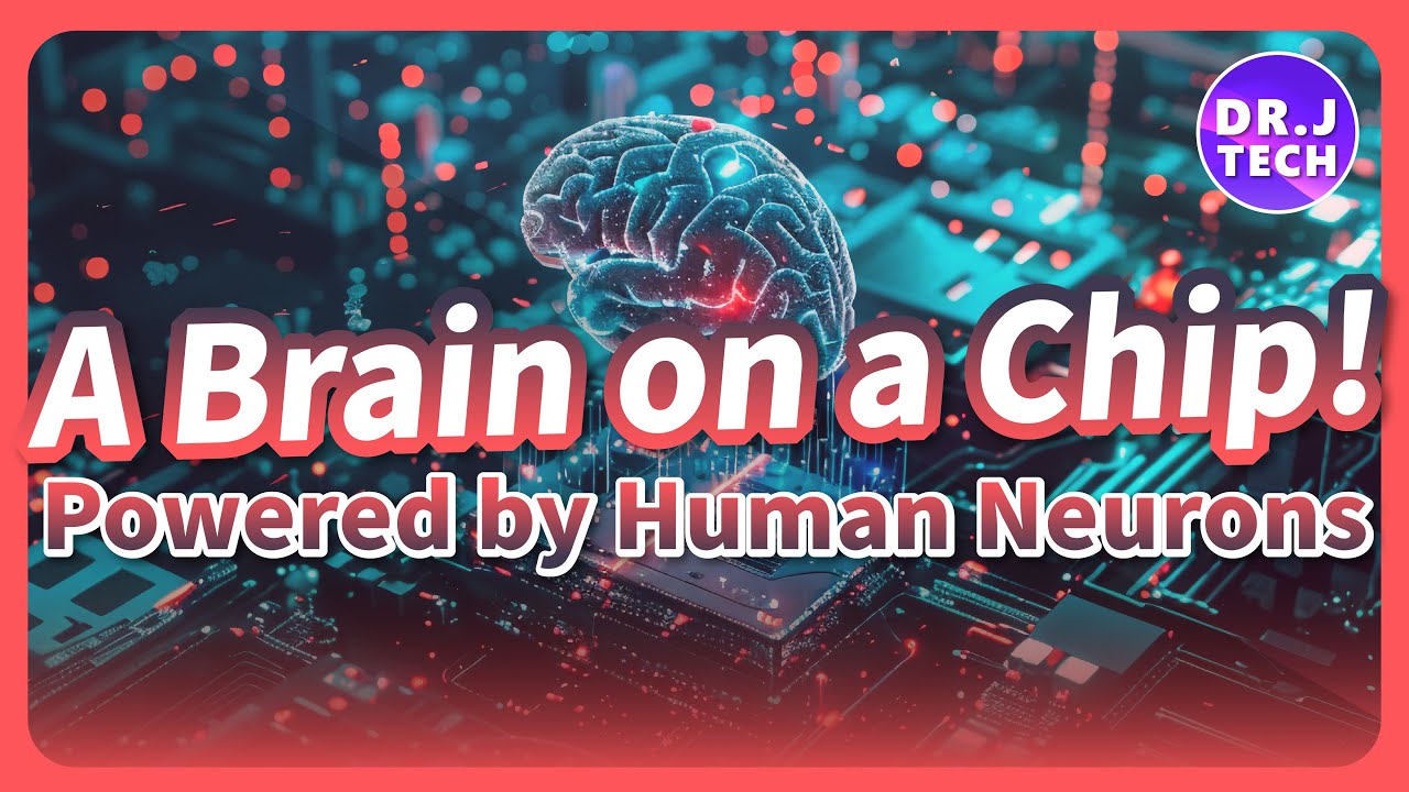 A Brain on a Chip! Powered by Human Neurons!