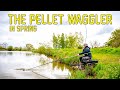 The pellet waggler in spring  catch loads of carp without feeding